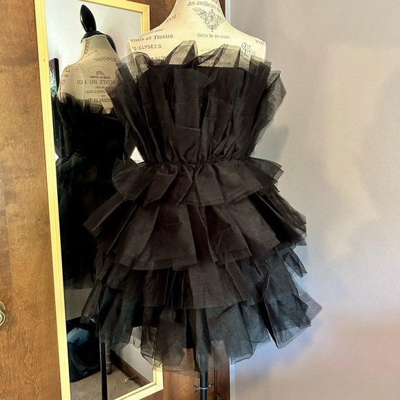 Audrey Parks Mini Tiered Tulle Dress 🖤 - Picture 8 of 9
